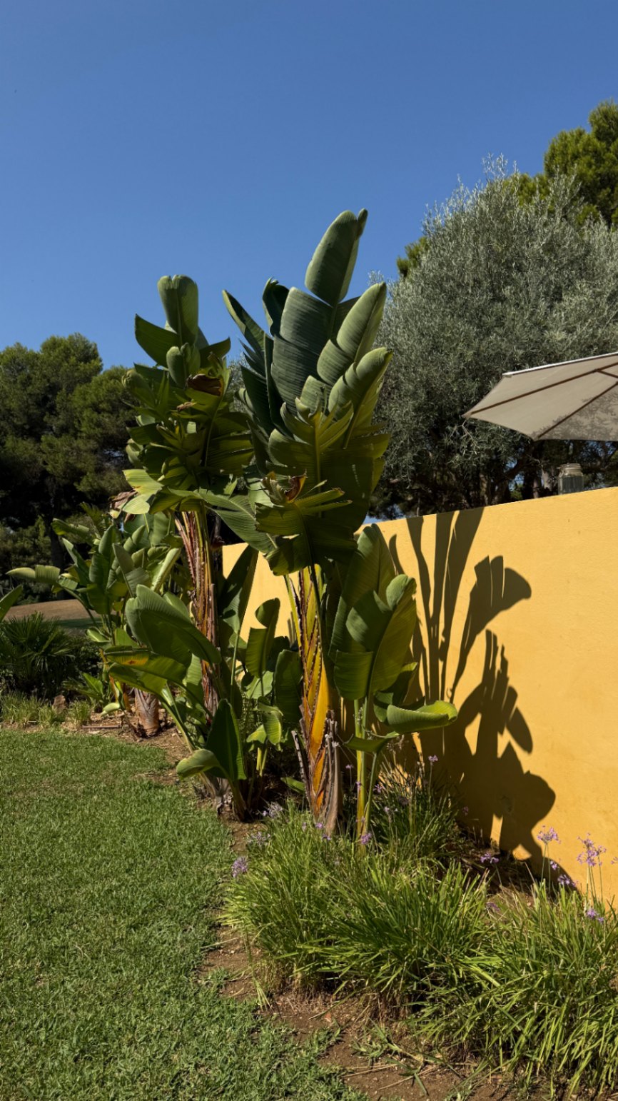 Villa con piscina privada dentro de urbanización privada en el Golf de Santa Ponsa