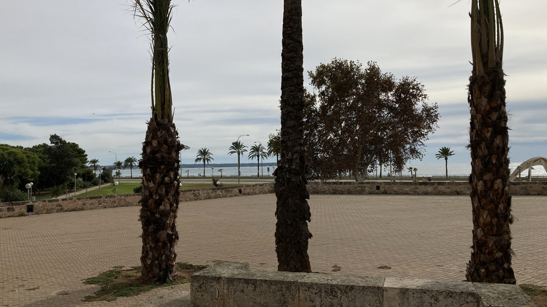 Calatrava Palma , vista al mar (lateral) primer piso - luminoso!