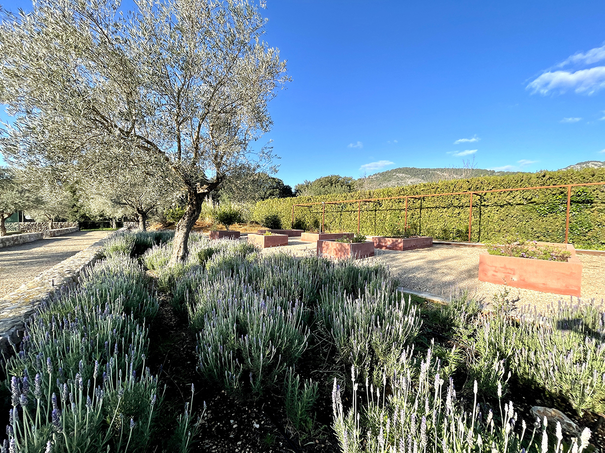 Alaró impressive finca with pool and full SPA