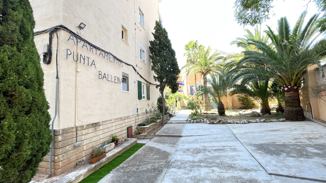 Magaluf Punta Ballena apartments renovated
